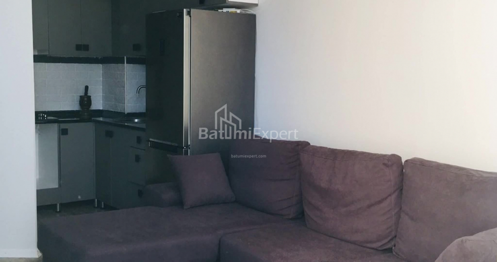 Apartment 48 m² - Palavandishvili, Batumi, Georgia