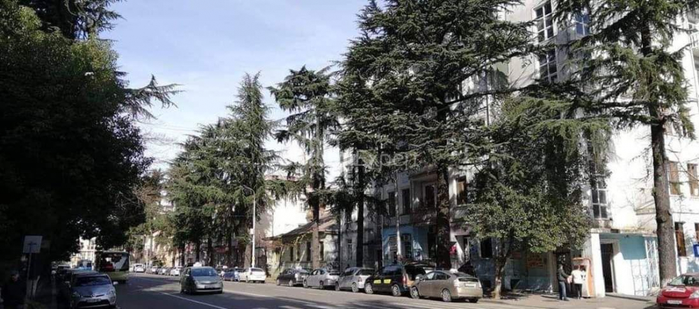 Apartment 61 m² - Nikoloz Baratashvili, Batumi, Georgia