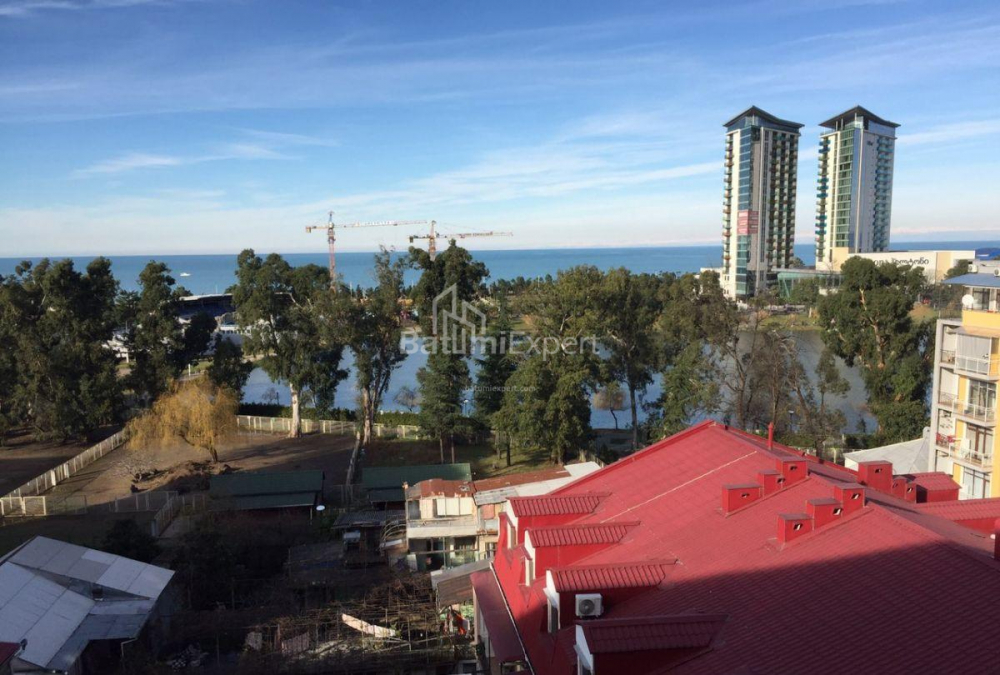 Apartment 68 m² - Zurab Gorgiladze, Batumi, Georgia