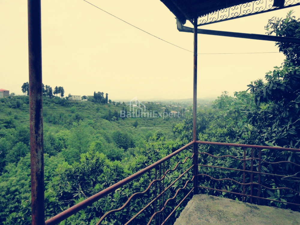 Private house 3065 m² - Agmashenebeli, Chakvi, Georgia