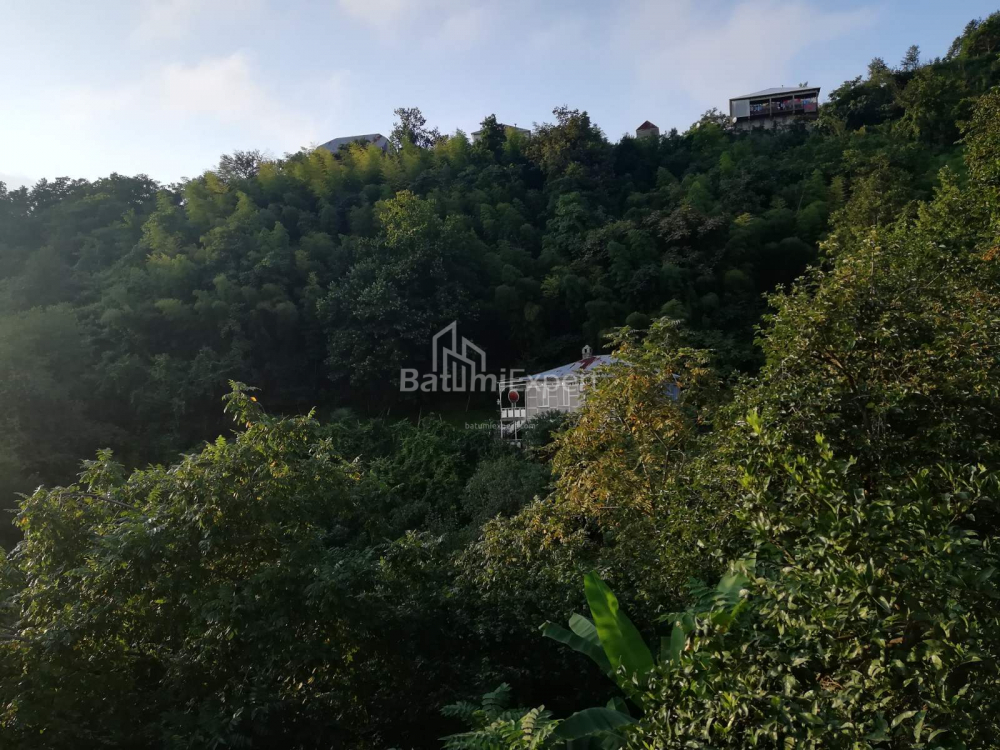 Private house 2501 m² - Akaki Shainidze, Khelvachauri, Georgia