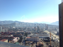 Apartment 51.4 m² - Niko Pirosmani, Batumi, Georgia