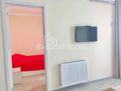 Apartment 43.5 m² - Sherif Khimshiashvili, Batumi, Georgia