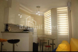 Apartment 1-room 29 m² - Zurab Gorgiladze, Batumi