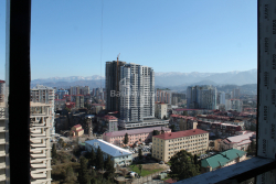 Apartment 30.3 m² - Avenue of Heroes, Batumi, Georgia