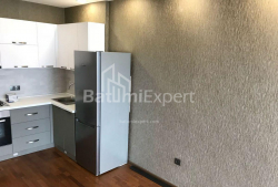 Apartment 2-room 60 m² - Niko Pirosmani, Batumi