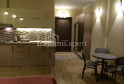 Apartment 33 m² - Sherif Khimshiashvili, Batumi, Georgia