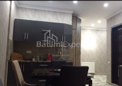 Apartment 47 m² - Zurab Gorgiladze, Batumi, Georgia