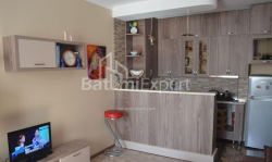 Apartment 64 m² - Shalva Inasaridze, Batumi, Georgia