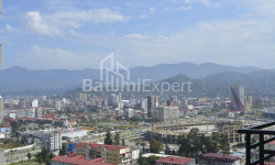 Apartment 1-room 31 m² - Niko Pirosmani, Batumi