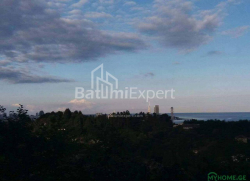Land plot 300 m² - Yuryevskaya, Batumi