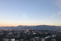 Apartment 1-room 36 m² - Grigol Eliava, Batumi