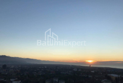 Apartment 1-room 36 m² - Grigol Eliava, Batumi