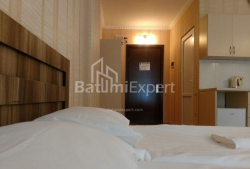 Apartment 33 m² - Sherif Khimshiashvili, Batumi, Georgia