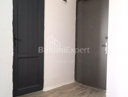 Apartment 2-room 48 m² - Alexandr Pushkin, Batumi