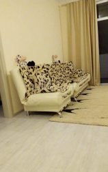 Apartment 2-room 55 m² - Mikhail Lermontov, Batumi