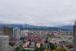 Apartment 45 m² - Zurab Gorgiladze, Batumi, Georgia