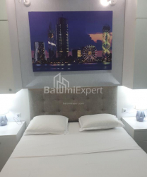 Apartment 3-room 48 m² - Shalva Inasaridze, Batumi