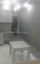 Apartment 1-room 32 m² - Niko Pirosmani, Batumi