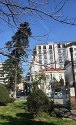 Apartment 1-room 45 m² - David Kldiashvili, Batumi