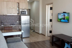 Apartment 40 m² - Yuryevskaya, Batumi, Georgia