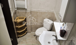 Apartment 2-room 43 m² - Niko Pirosmani, Batumi
