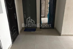 Apartment 1-room 76 m² - Shalva Inasaridze, Batumi