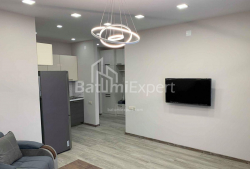 Apartment 2-room 56 m² - Davit Agmashenebeli, Batumi