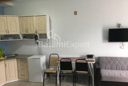 Apartment 1-room 38 m² - Yuryevskaya, Batumi
