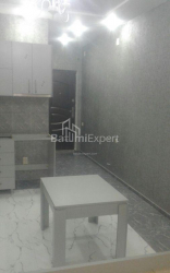Apartment 1-room 32 m² - Niko Pirosmani, Batumi