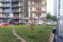 Apartment 1-room 286 m² - Sherif Khimshiashvili, Batumi