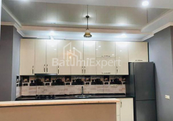 Apartment 2-room 60 m² - Niko Pirosmani, Batumi