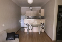 Apartment 2-room 45 m² - Yuryevskaya, Batumi