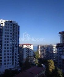 Apartment 2-room 35 m² - Niko Pirosmani, Batumi