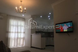 Apartment 80 m² - Shalva Inasaridze, Batumi, Georgia