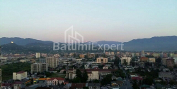 Apartment 2-room 42 m² - Niko Pirosmani, Batumi