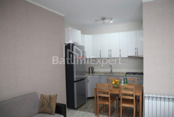 Apartment 3-room 65 m² - Shalva Inasaridze, Batumi