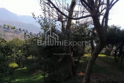 Apartment 300 m² - Yuryevskaya, Batumi, Georgia
