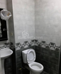 Apartment 1-room 31 m² - Niko Pirosmani, Batumi