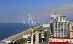 Apartment 1-room 28 m² - Yuryevskaya, Batumi