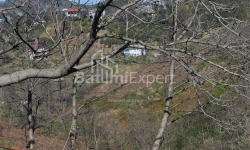 Apartment 2-room 170 m² - Yuryevskaya, Batumi