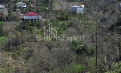 Apartment 2-room 170 m² - Yuryevskaya, Batumi
