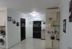 Apartment 1-room 50 m² - Niko Pirosmani, Batumi