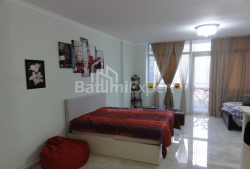 Apartment 1-room 50 m² - Niko Pirosmani, Batumi