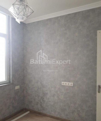 Apartment 2-room 40 m² - Niko Pirosmani, Batumi