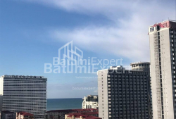 Apartment 53 m² - Niko Pirosmani, Batumi, Georgia