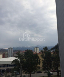 Apartment 2-room 40 m² - Peter Bagrationi, Batumi