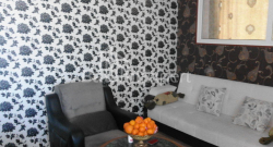 Apartment 65 m² - Niko Pirosmani, Batumi, Georgia