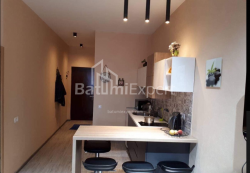 Apartment 1-room 34 m² - Shalva Inasaridze, Batumi