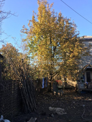 Land plot 900 m² - Jemal Katamadze, Batumi, Georgia